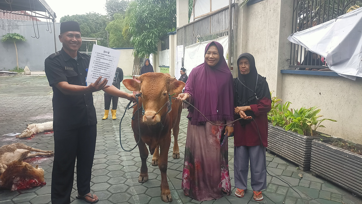 Sapi dari Alm Kamijan dan Keluarga, Asmani Binti H. Joyo Salin,Sujilah Binti Jimin, Firly Arysa,Alm Sunhaji bin Dasiman, Yayuk Sopadmiyati, Tego Harsono dan Keluarga